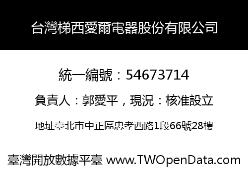 台灣梯西愛爾電器股份有限公司
