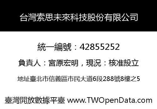 台灣索思未來科技股份有限公司